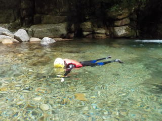 �L���j�I���X�C�~���O�����ώ@